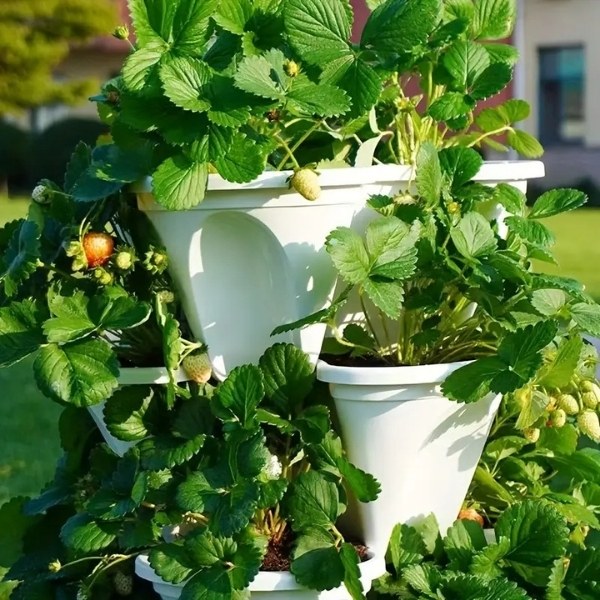 PLANTUP