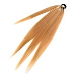 BRAIDELLA