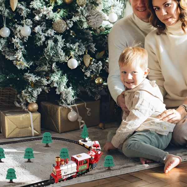 TRAINMAS15246